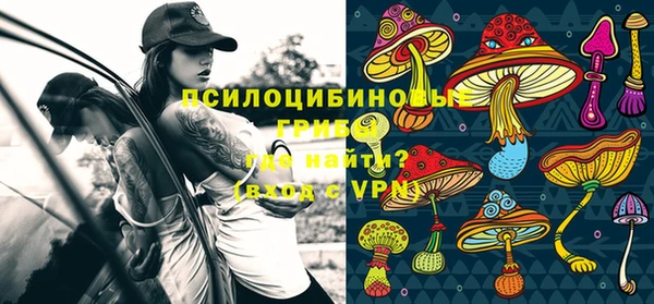 винт Лиски