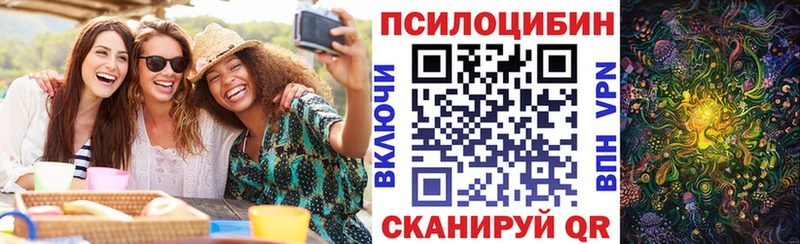 Псилоцибиновые грибы Psilocybine cubensis Купить закладки Буинск